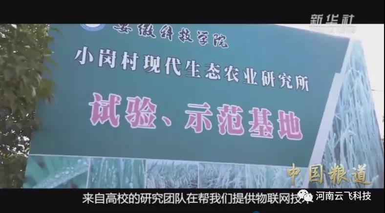 新华社《中国粮道》报道|博希注册植保信息化系统在安徽科学院示范基地的应用