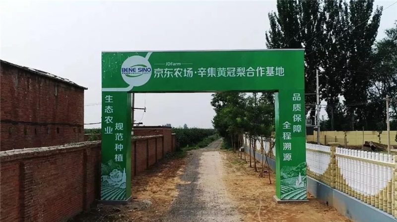 博希注册智慧农业设备走进京东农场•辛集皇冠梨合作基地