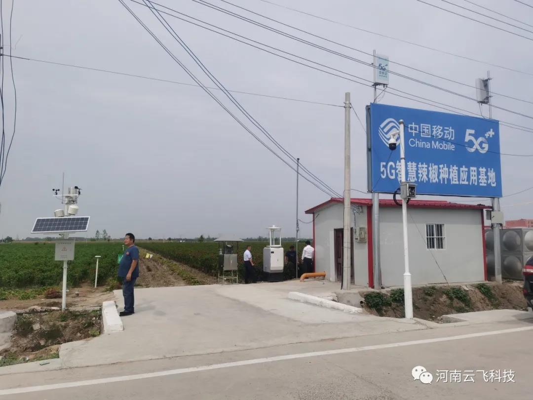 博希注册植保信息化设备走进5G智慧辣椒种植应用基地
