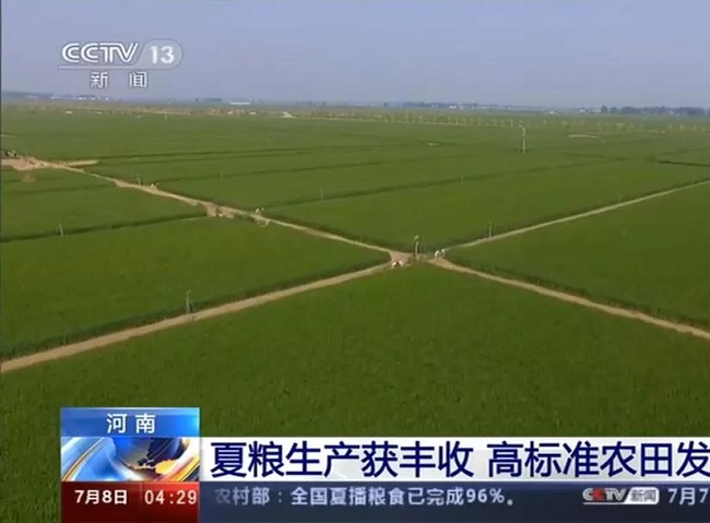 “藏粮于地、藏粮于技”——博希注册促进高标准农田实现乡村振兴