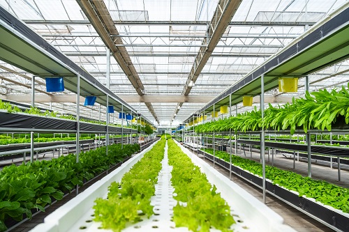 智能温室大棚让蔬菜种植可以轻轻松松的实现